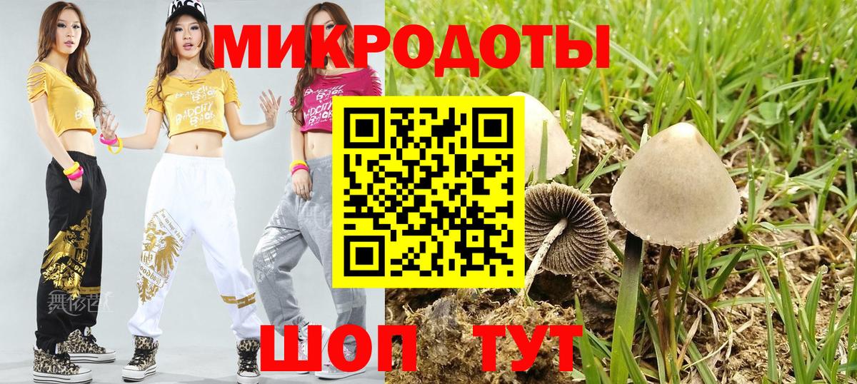 Псилоцибиновые грибы ЛСД  Вход с VPN  Псилоцибиновые грибы мухоморы  где продают   Дзержинск 