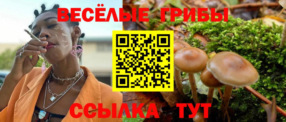 Псилоцибиновые грибы прущие грибы Дзержинск